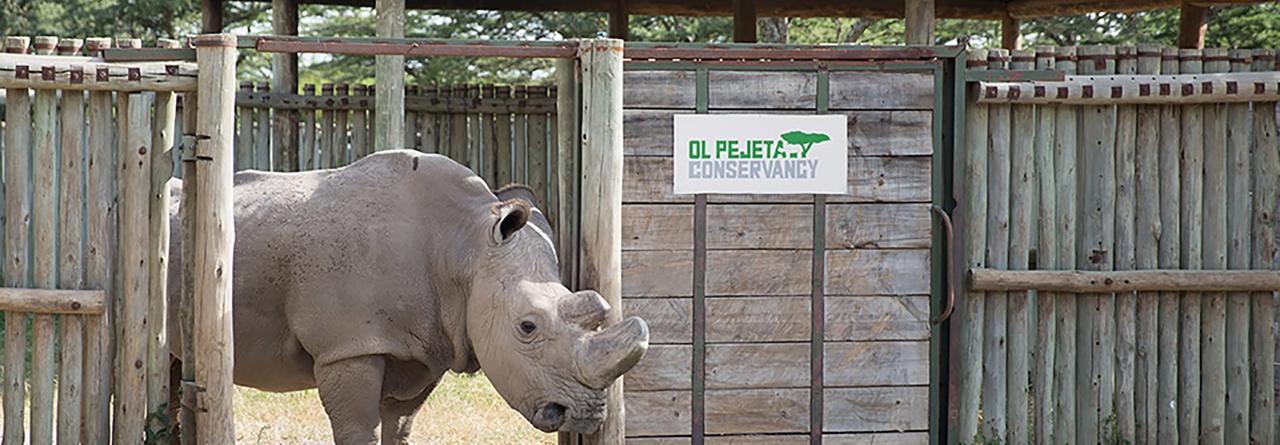 Ol Pejeta Holiday Villas Nanyuki Exterior photo